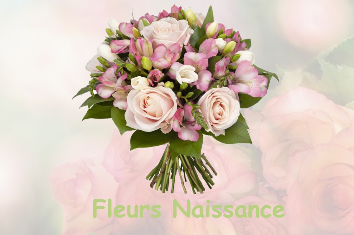 fleurs naissance FERRIERES-LES-RAY